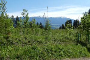 01_SENSES_NP-Klimatop_c_Naturpark-Karwendel Kopie