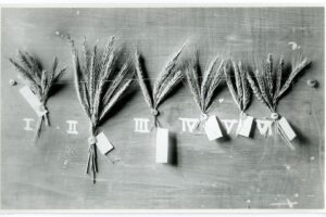 Foto1-genbank1-c-LandTirol