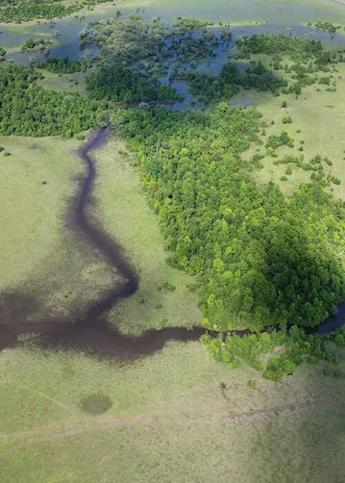 View from above: Aerial shot of Odransko Polje and Odra River, Croatia 2014.